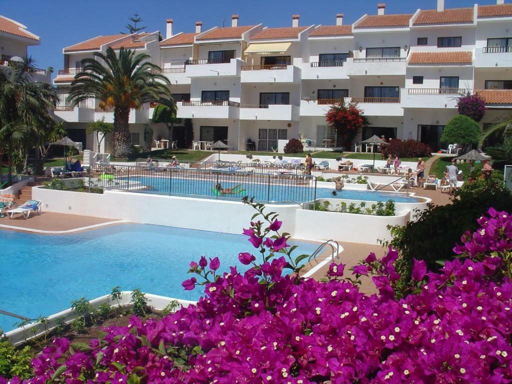 Apartment Cristian Sur Los Cristianos  Eksteriør billede
