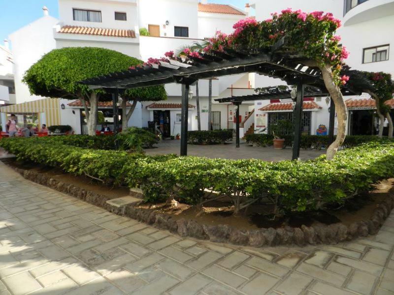 Apartment Cristian Sur Los Cristianos  Eksteriør billede